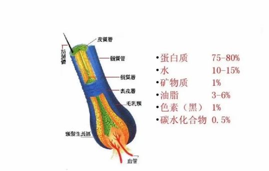 微信图片_20250327151837.png