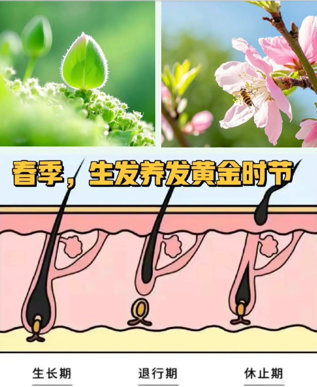 微信图片_20250327151526.png