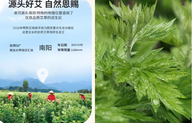 微信图片_20250327154321.png
