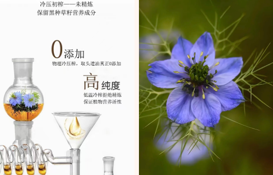 微信图片_20250327155036.png