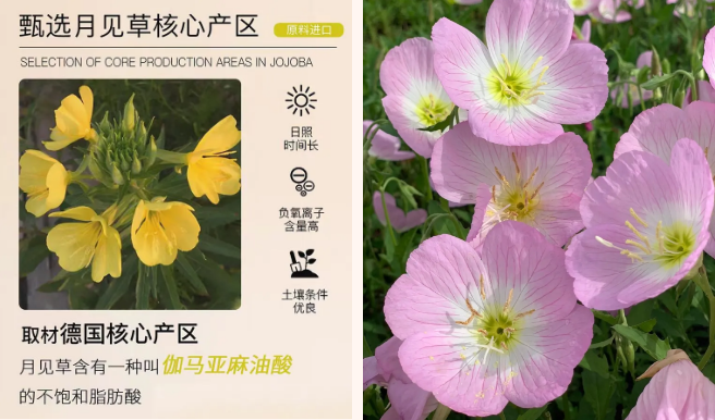 微信图片_20250327154326.png