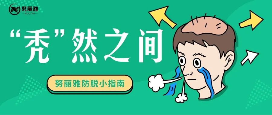 努丽雅植物养发加盟|问君能有几多愁？二十多岁秃了头！！